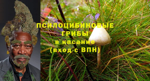 кристаллы Козельск