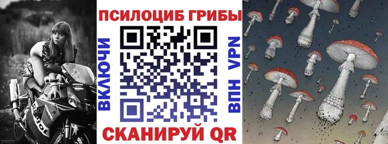Галлюциногенные грибы MAGIC MUSHROOMS закладка Котельнич