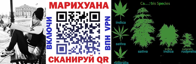 Марихуана Amnesia  Котельнич 